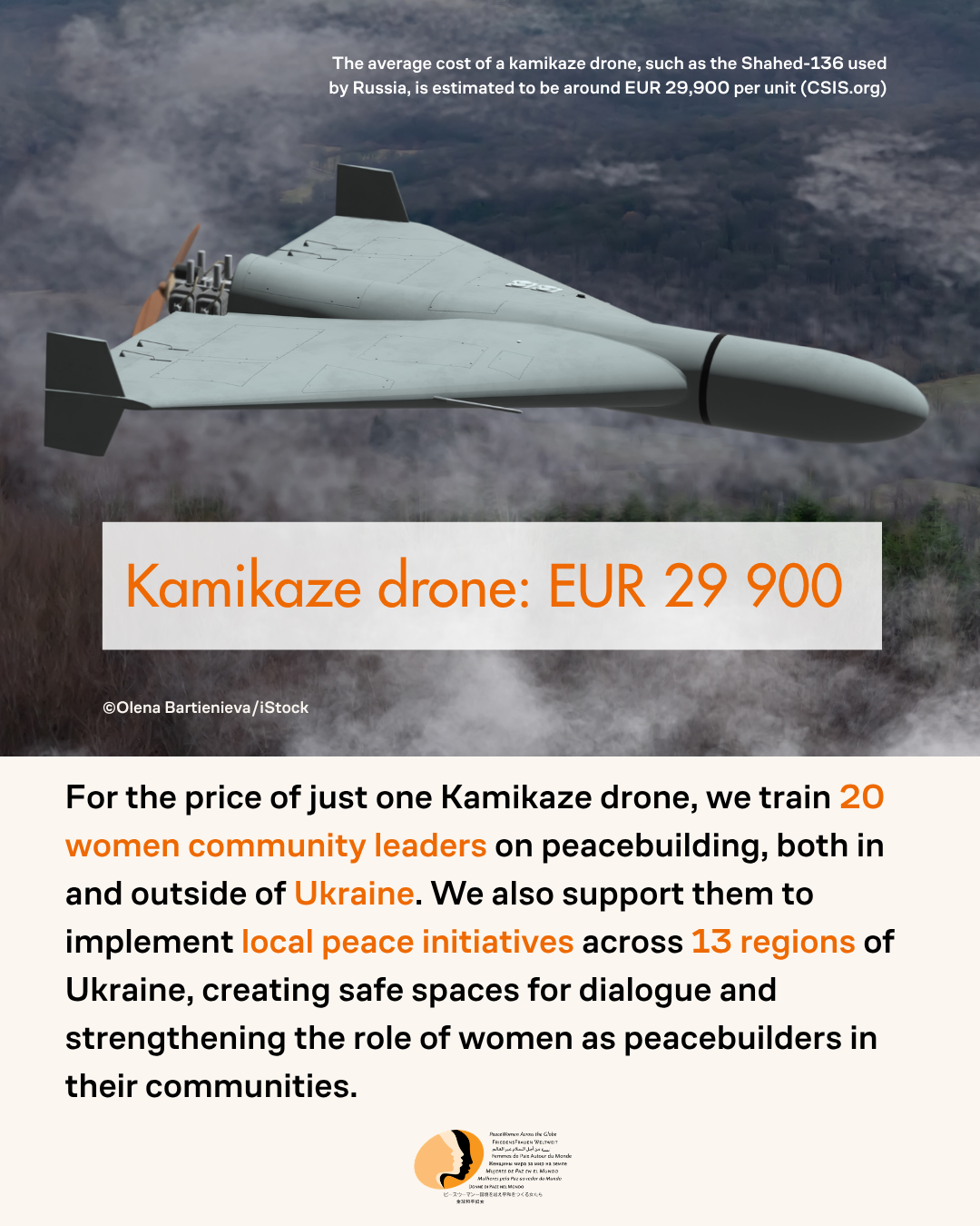 Fund peace, not war: Kamikaze drone